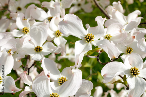 Photo: Beautiful Nature Beautiful Nature