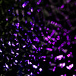 designberry 1.47