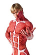 muscle man invites you