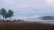 Birth of fog on the lake