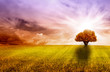 arbol