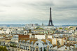 eiffel tower and roofs