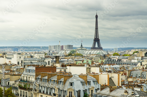 Foto: eiffel tower and roofs eiffel tower and roofs