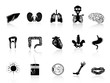 black human anatomy icon