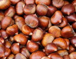 Chesstnut