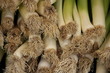 Photo: Leeks Leeks