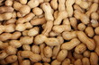 Photo: Peanuts Peanuts