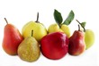 quinces,apples and pears