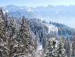 Winter in the alps