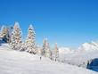 Winter in the alps