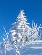 Winter in the alps