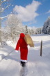 Santa Claus