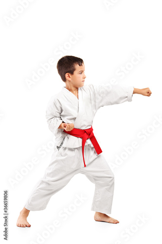 Photo: Full length portrait of a karate child posing Full length portrait of a karate child posing
