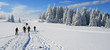 Schneeschuhwanderung