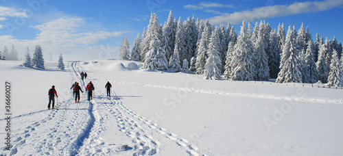 Foto: Schneeschuhwanderung Schneeschuhwanderung