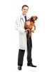 Full length portrait of a smiling veterinarian holding a puppy