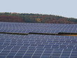 Solarkollektoren vor Herbstwald Solarkollektoren vor Herbstwald