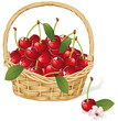 cherry basket