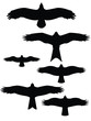 bird silhouttes