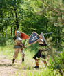 fighting knights