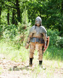 Knight in armor