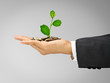 Financial growing