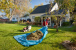 Yard Work