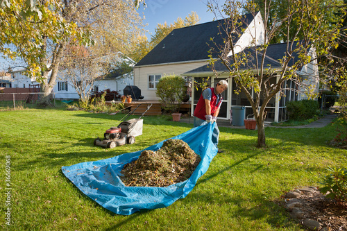 Photo: Yard Work Yard Work