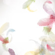 colorful feather background