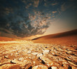 Desert