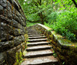 Stones path