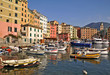 Camogli, il porto Camogli, il porto