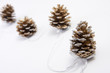 cones for Christmas Greeting Card