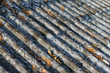 Asbestos roof, close uo