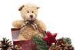 Bär in Geschenkbox