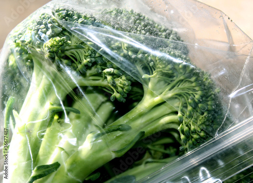 Photo: Fresh broccoli in sealed plastic bag - condensation forming Fresh broccoli in sealed plastic bag - condensation forming