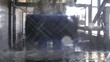 Video: Driving through a car wash Driving through a car wash