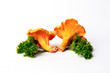 Autumn chanterelles