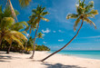 Karibischer Strand