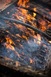 Bed on the fire