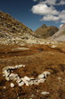 marshes in Val d'Aran valley