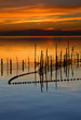 Photo: redes de pesca redes de pesca