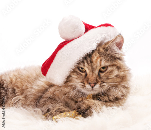 Photo: sad santa sad santa
