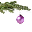 Christbaum