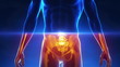 Video: Brain parts in x-ray view Brain parts in x-ray view