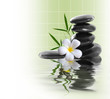 frangipani and stones on the water