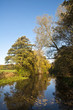 Calm Autumn day on the water Calm Autumn day on the water