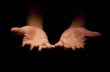 Praying Hands