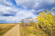rural autumn road