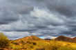Winter Desert Storm Winter Desert Storm